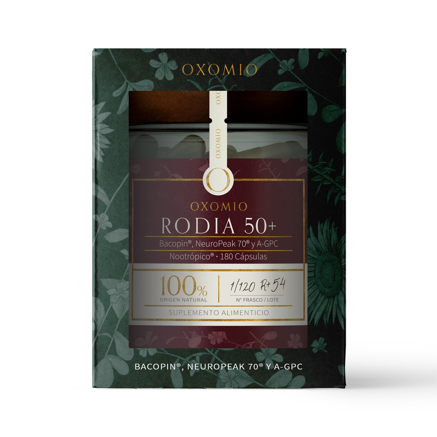 Box_Rodia50_180